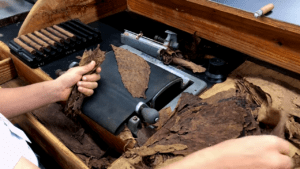 Accordion Cigar Bunching Rolling Technique