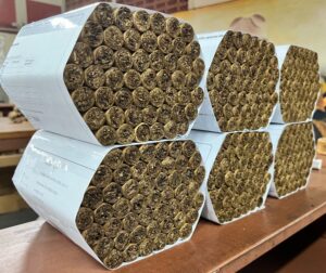 Long Filler Cigars Resting After Being Rolled